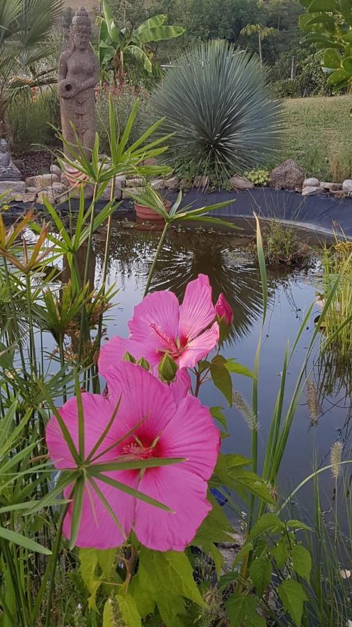 Un Parfum De Thailande, Ressourcement Et Massages Curemonte ภายนอก รูปภาพ